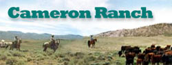 Cameron Ranch website design