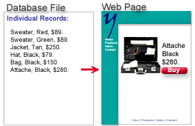 Website database page