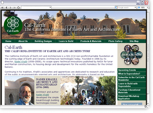 Cal Earth Institute